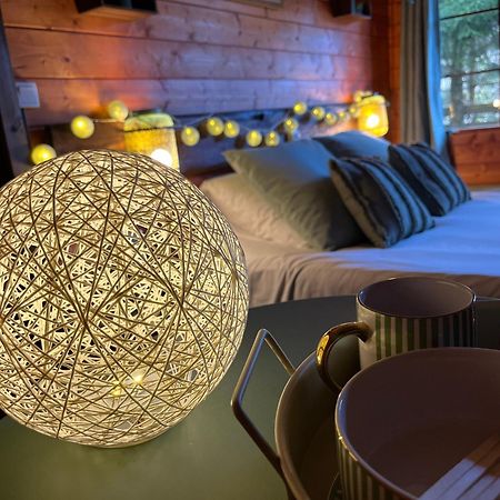 "Le Maloya" Chalets Independants -Chambre Balneo - Relais Motards Lacaune Εξωτερικό φωτογραφία
