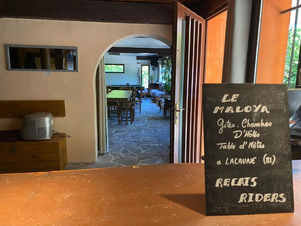 "Le Maloya" Chalets Independants -Chambre Balneo - Relais Motards Lacaune Εξωτερικό φωτογραφία