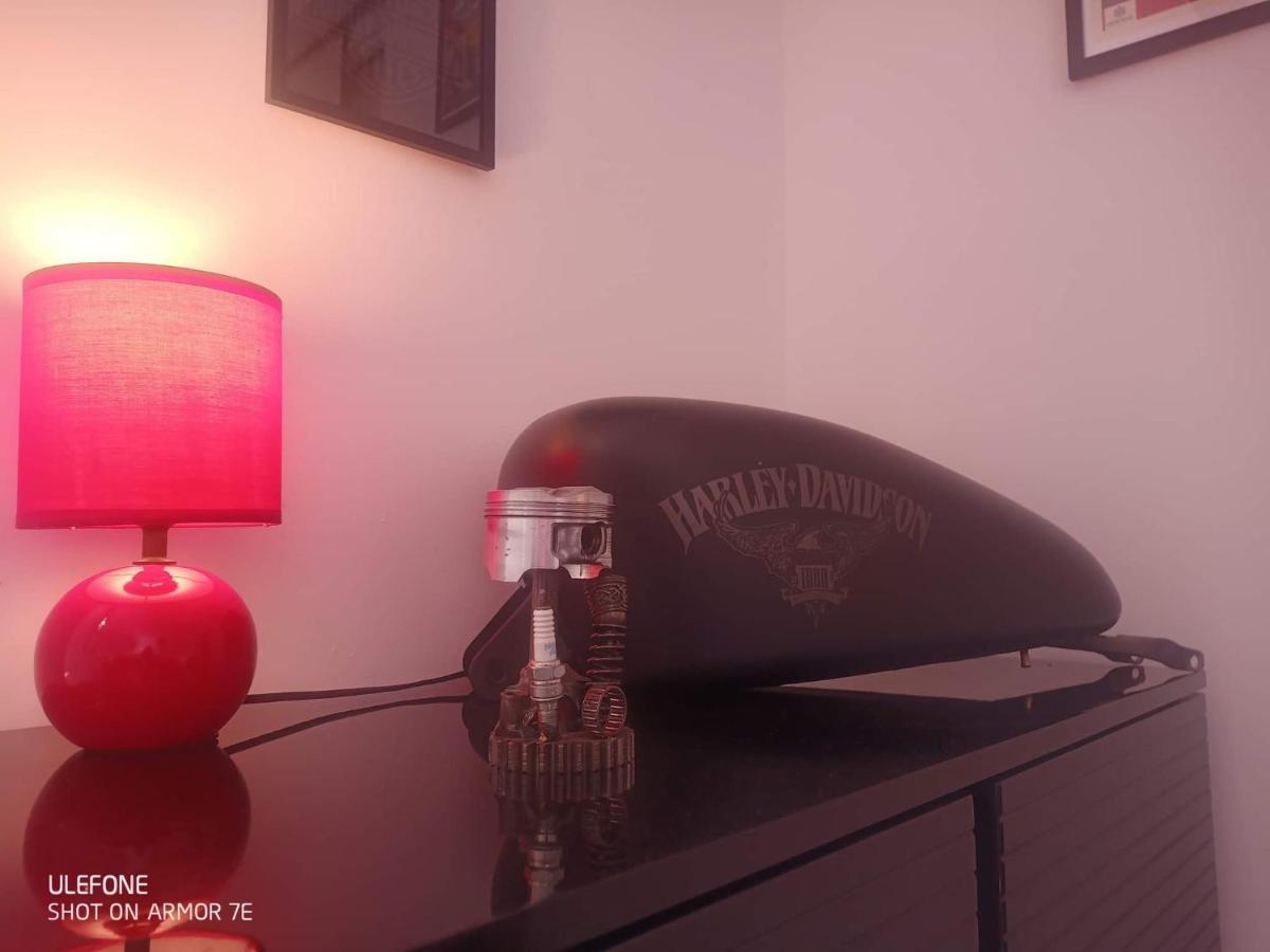 "Le Maloya" Chalets Independants -Chambre Balneo - Relais Motards Lacaune Εξωτερικό φωτογραφία
