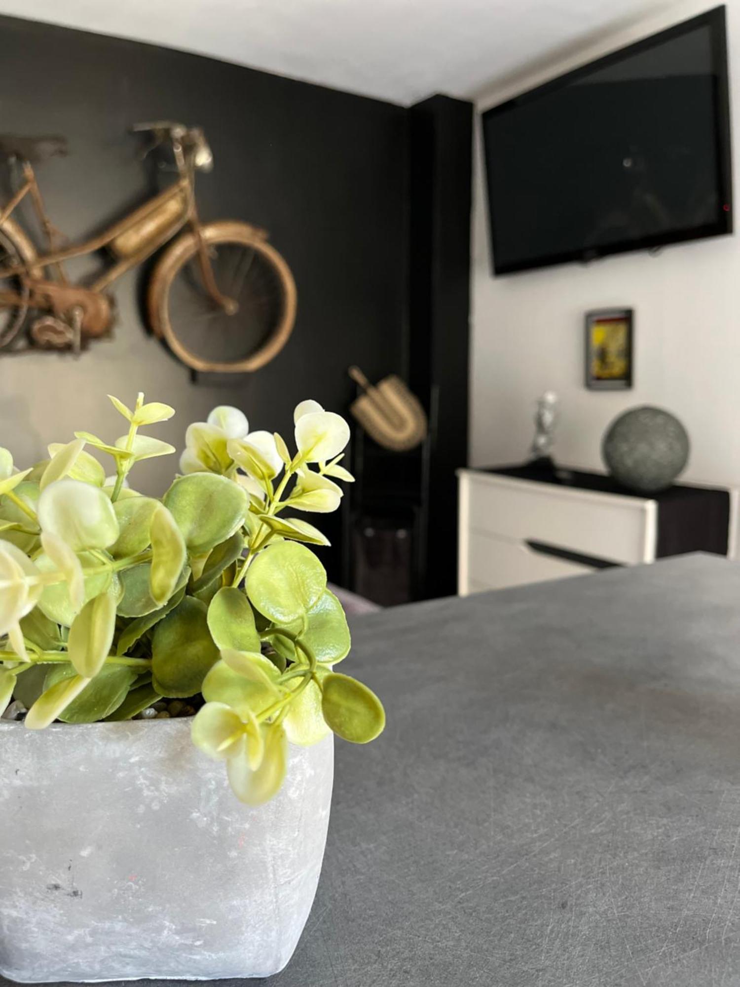 "Le Maloya" Chalets Independants -Chambre Balneo - Relais Motards Lacaune Εξωτερικό φωτογραφία