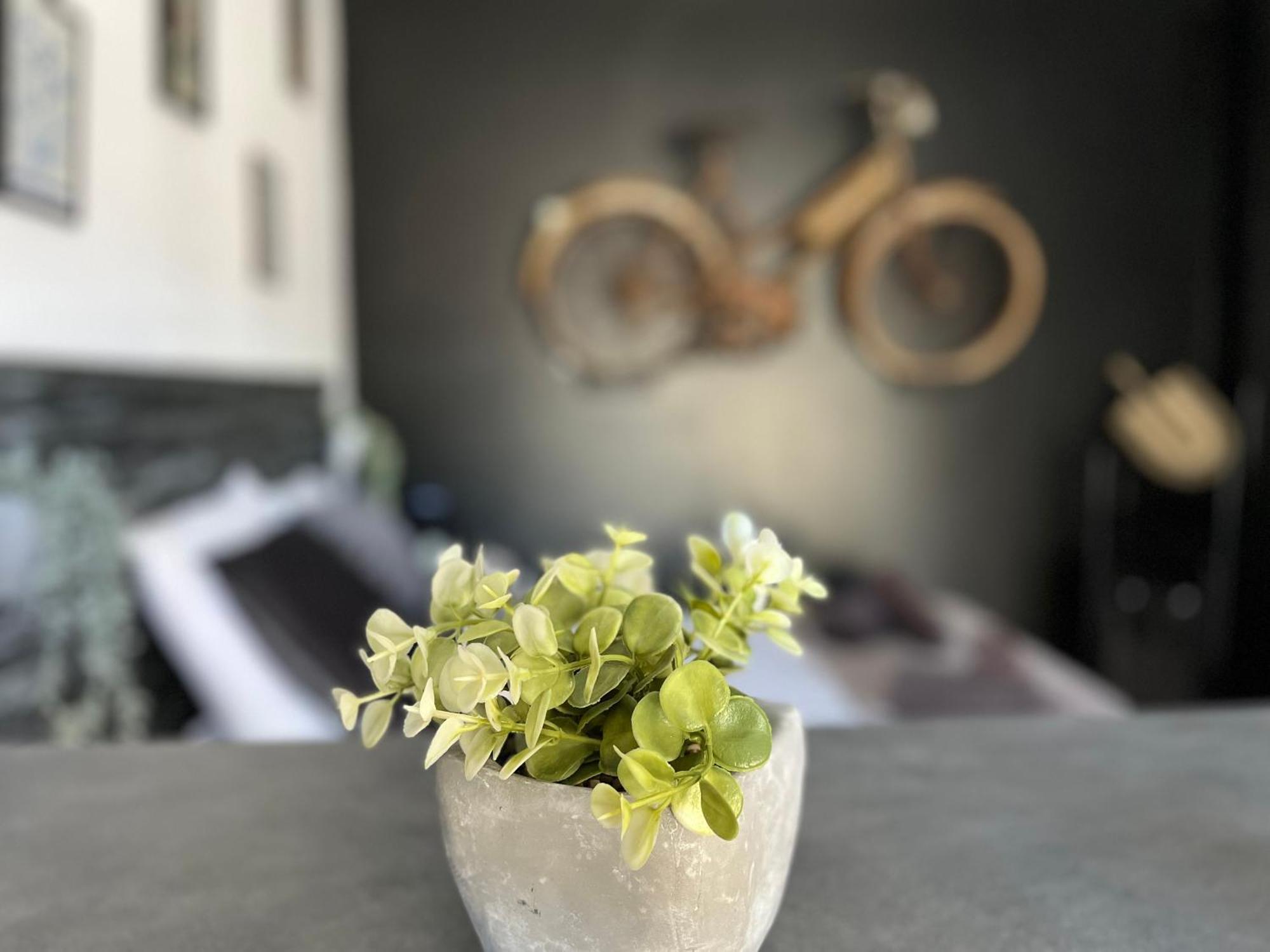 "Le Maloya" Chalets Independants -Chambre Balneo - Relais Motards Lacaune Εξωτερικό φωτογραφία