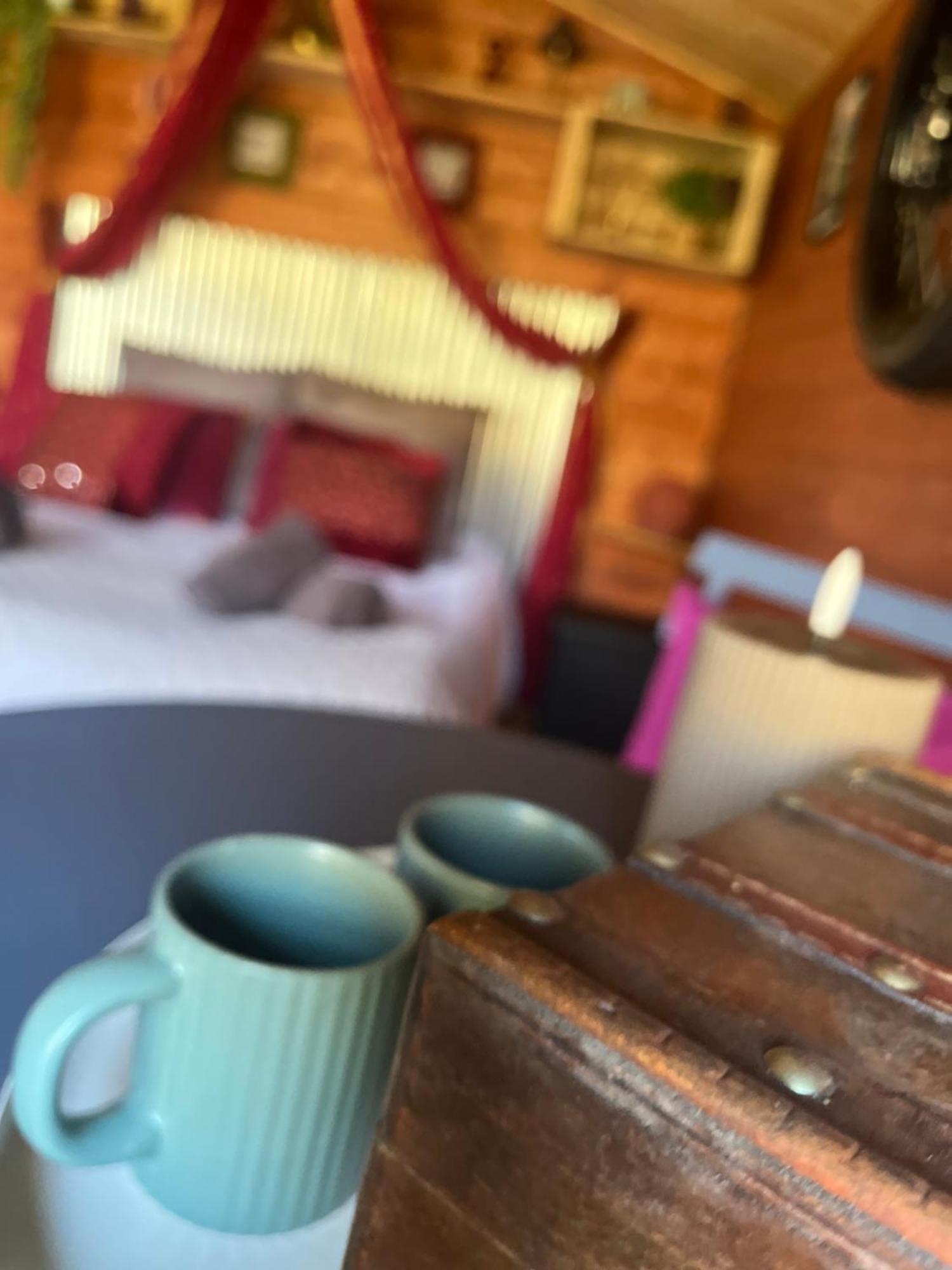 "Le Maloya" Chalets Independants -Chambre Balneo - Relais Motards Lacaune Εξωτερικό φωτογραφία